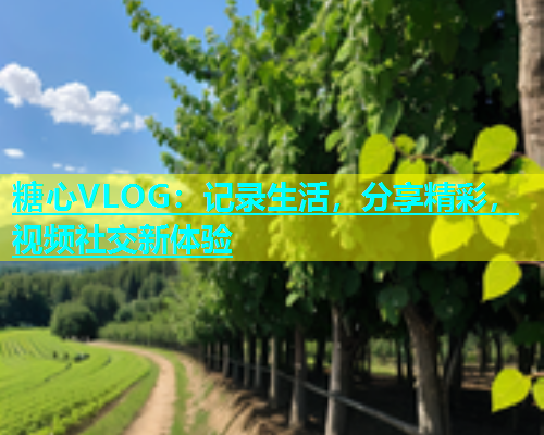 糖心VLOG：记录生活，分享精彩，视频社交新体验  第2张