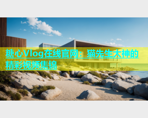 糖心Vlog在线官网：猫先生大神的精彩视频集锦  第2张