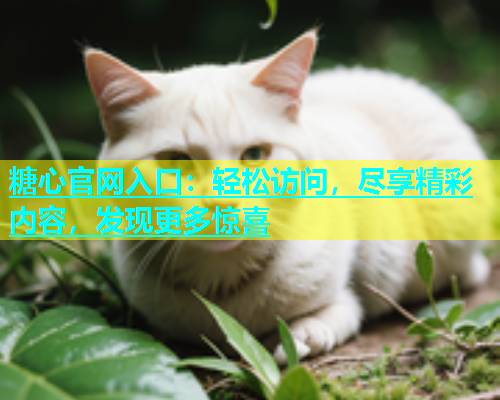 糖心官网入口：轻松访问，尽享精彩内容，发现更多惊喜  第2张